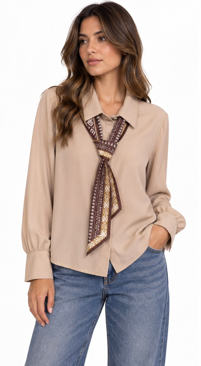Silk Scarf Collar Blouse ( Beige , White )