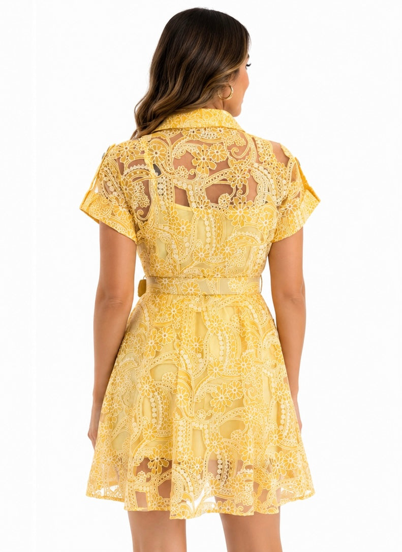 Elegant White Lace  Dress  ( yellow , white )