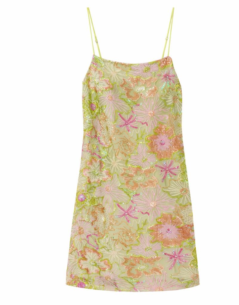 Blossom Embroidery Mini Dress