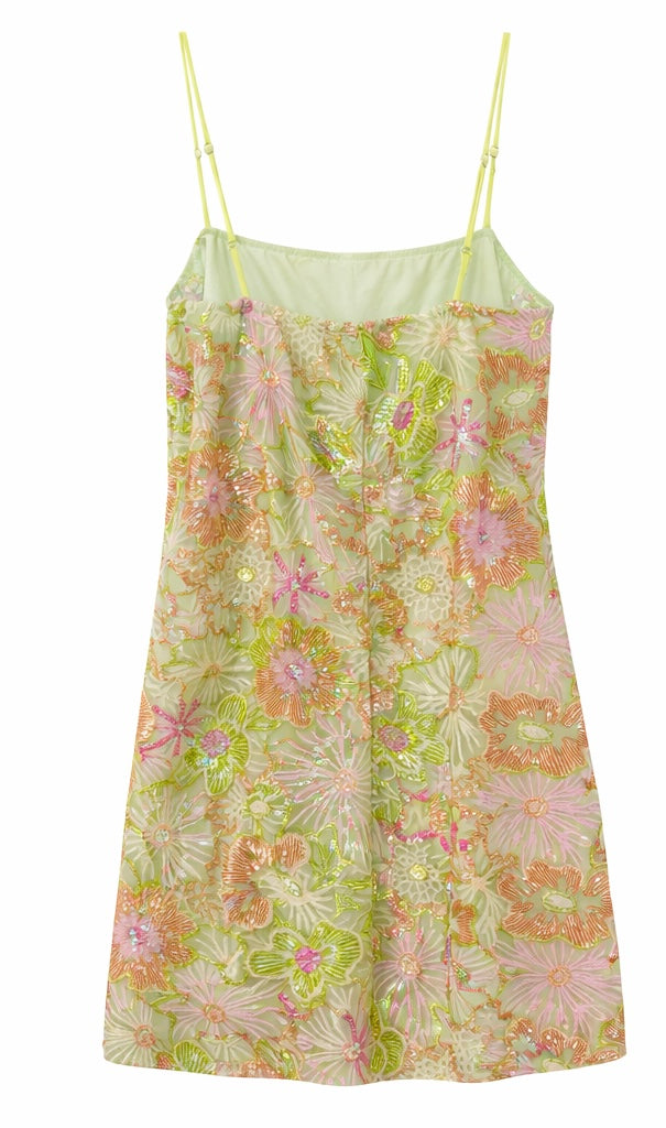 Blossom Embroidery Mini Dress