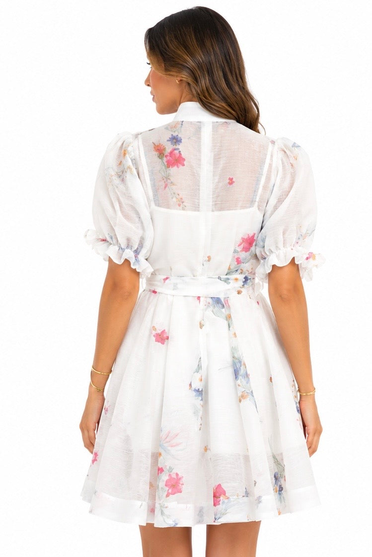Soft Petal Sheer Mini Dress