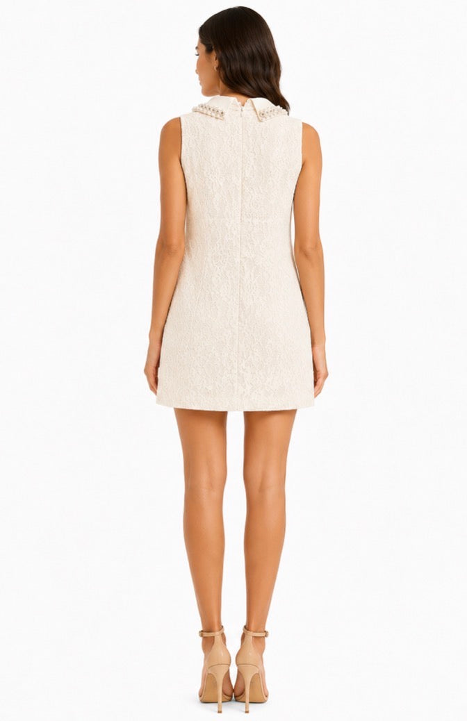 Camellia Lace Dress ( White )