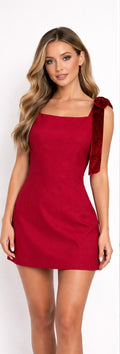 Amour Velvet Bow Mini Dress Burgundy