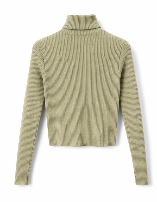 Ribbed Cropped Turtleneck Sweater Beige